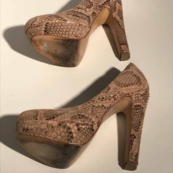 Steve Madden BEASST-S Leather Snakeskin Print - Picture 6 of 8